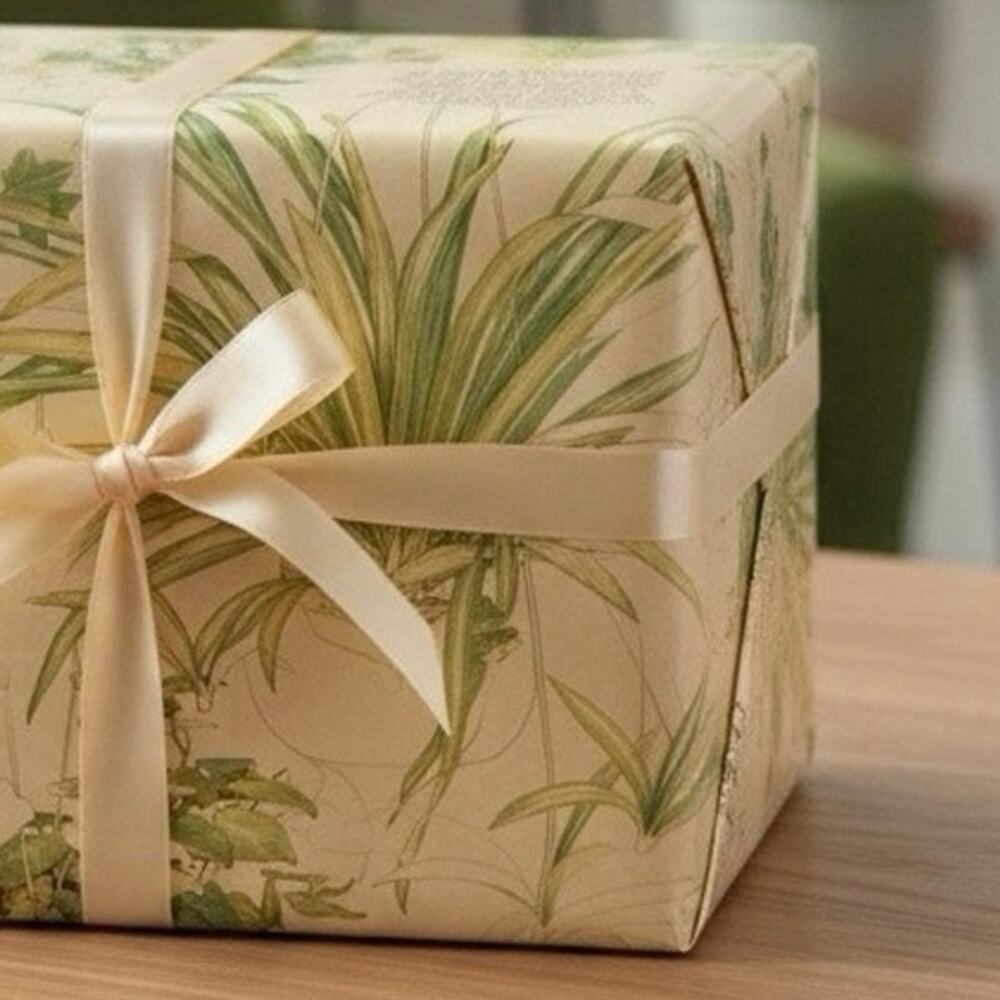 Retro Houseplant Wrapping Paper Sealed NOS Spider Plant Ivy